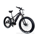 Controlled and Stable Electric Mountain Bike